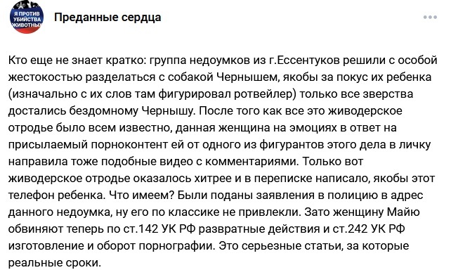 Ответ на пост «Зоозащитница отправила порнуху ребенку, который пострадал от укуса бродячей собаки»