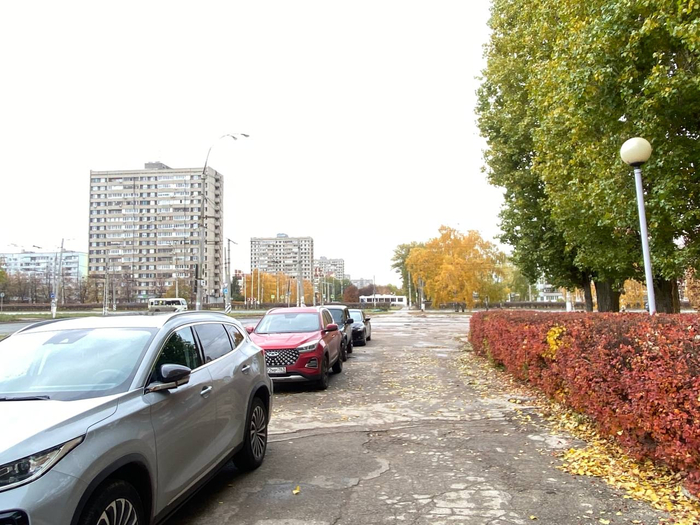 Тольятии и серые панельки, на фоне прекрасной зелени