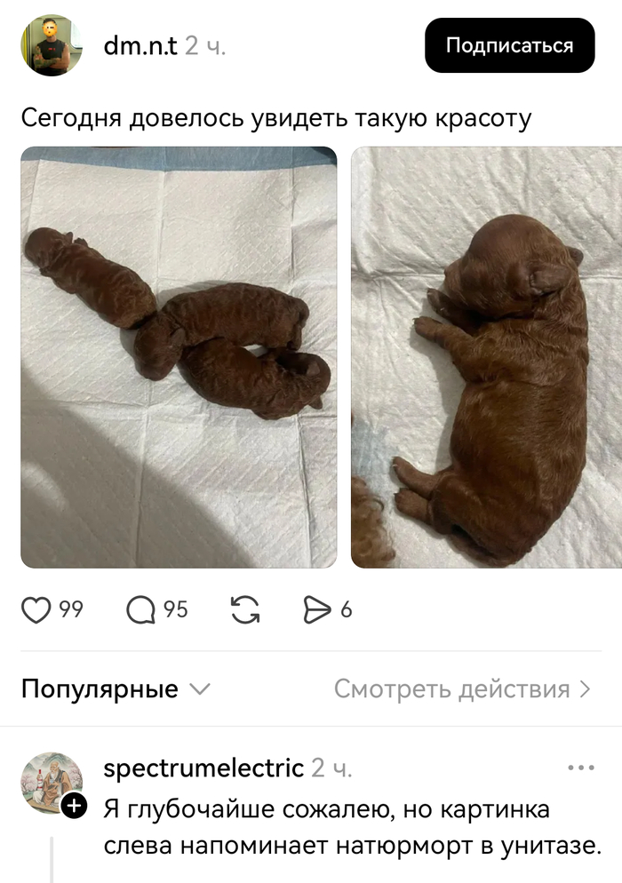 Показалось