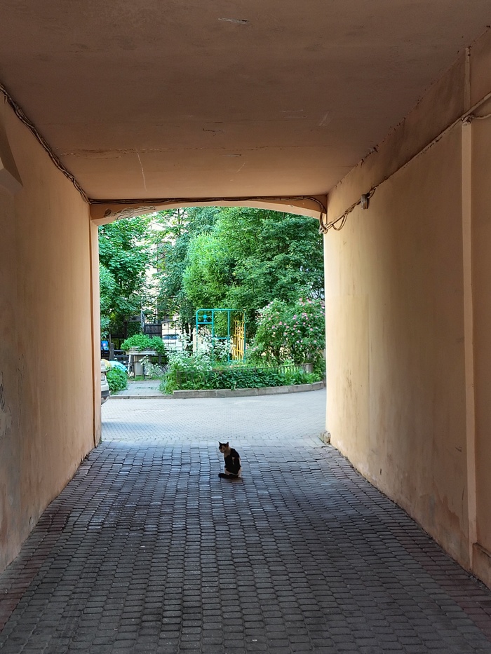 Ответ на пост «Просто хочу поделиться фотографией, которую у себя нашел а архиве»