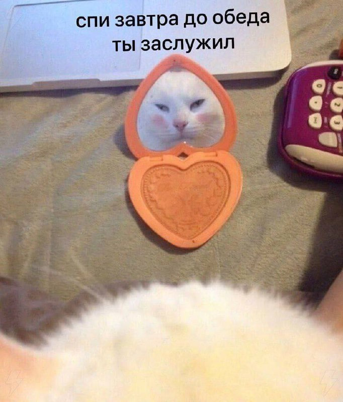 Всем котям посвящается: