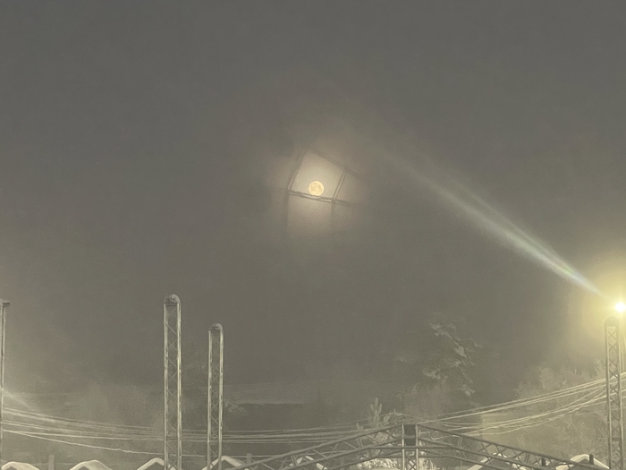 Ответ на пост «Просто хочу поделиться фотографией, которую у себя нашел а архиве»