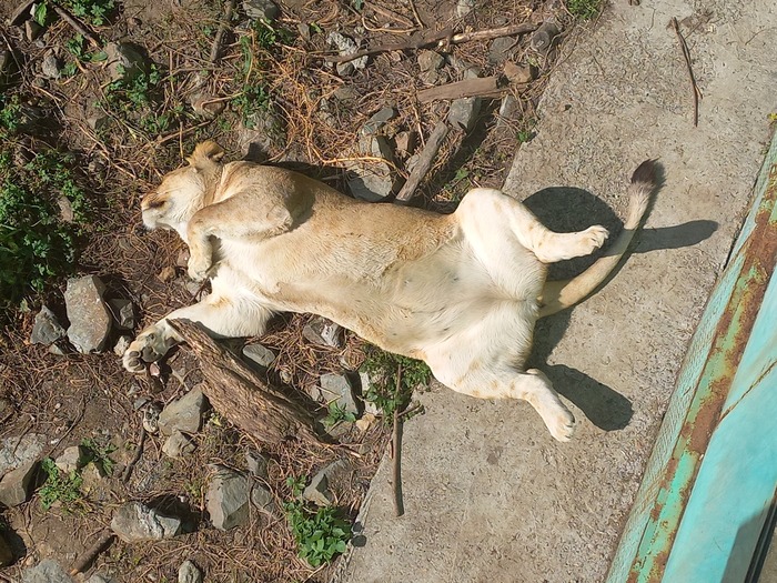 Ответ на пост «Просто хочу поделиться фотографией, которую у себя нашел а архиве»