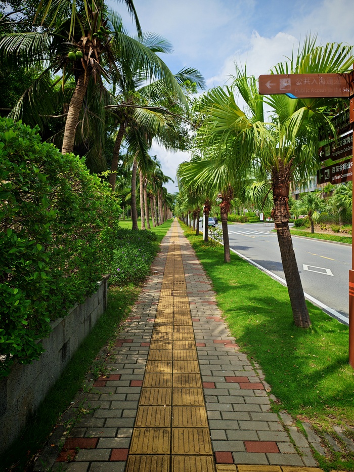 Кокосовая аллея.Ялонг.