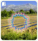 мерцает, пульсирует, интерактивная