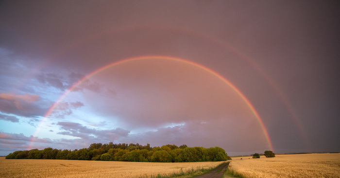 Rainbow