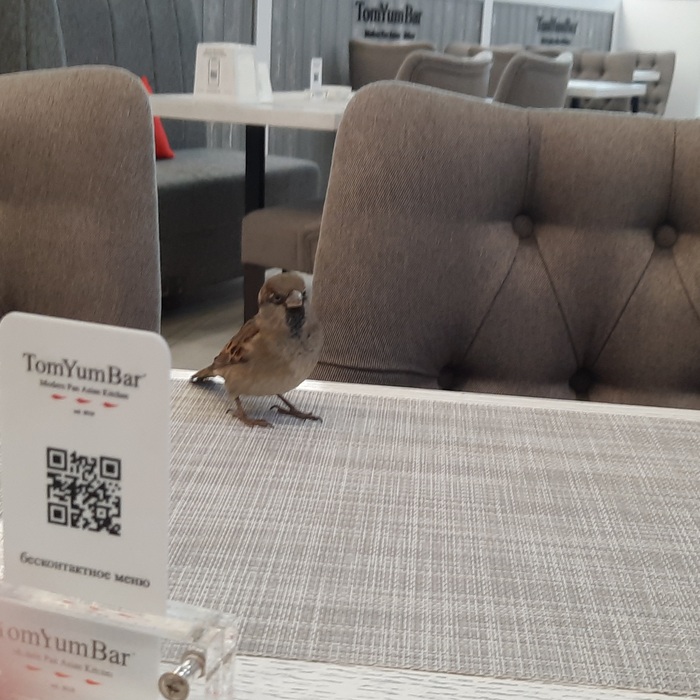 166 дней Есенина #36