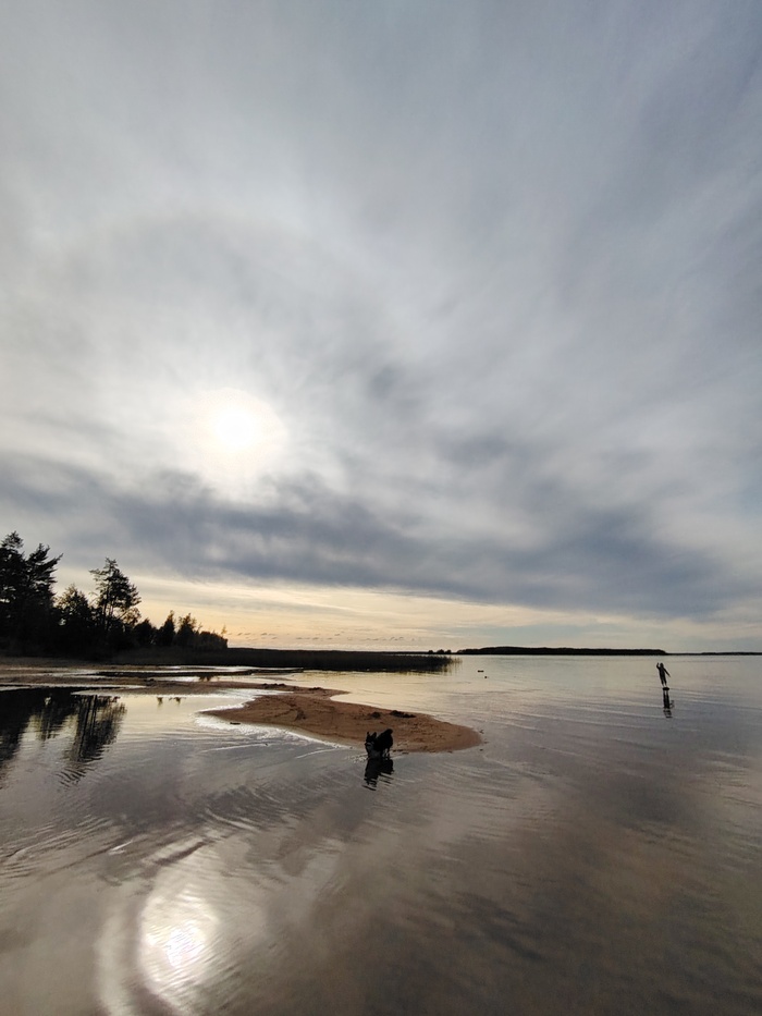 ����� �� ���� ������� ���� ���������� �����������, ������� � ���� ����� � ������