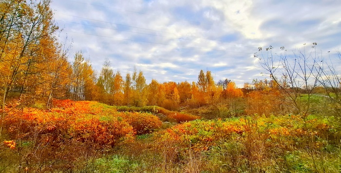 Ответ на пост «Просто хочу поделиться фотографией, которую у себя нашел а архиве»