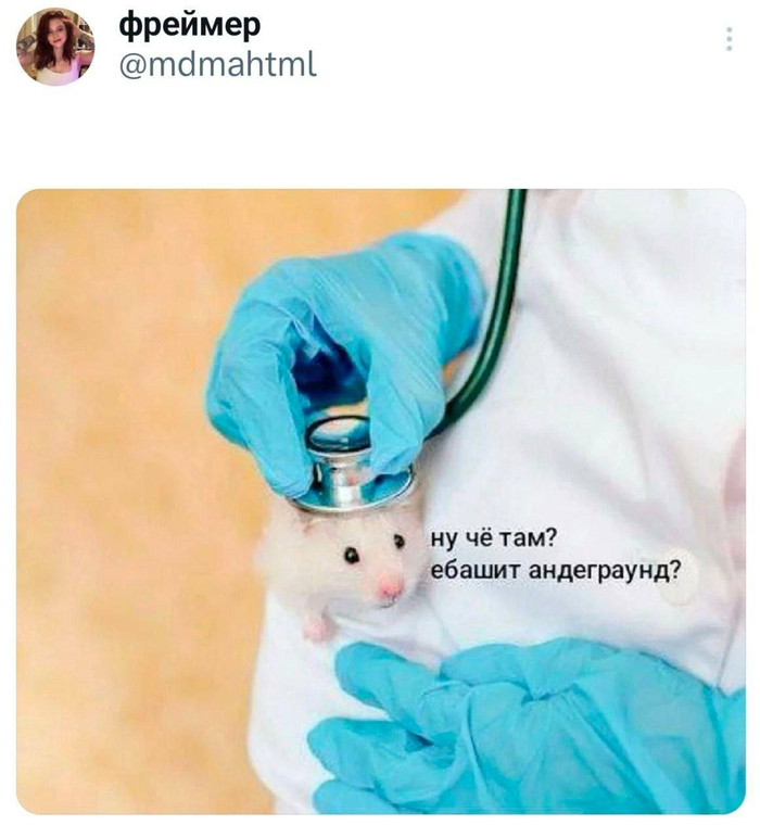 Музыка в голове