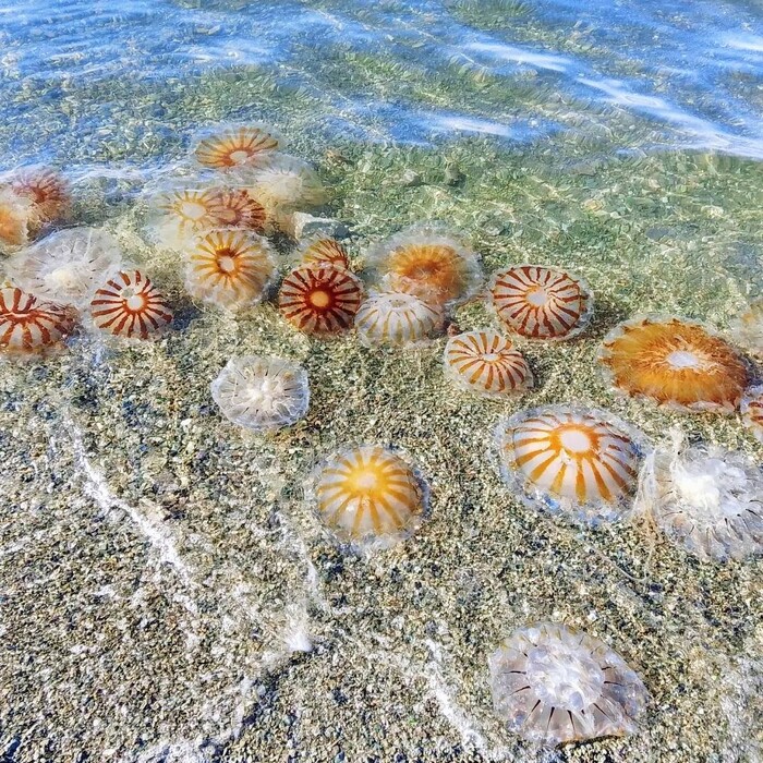 Ответ на пост «Просто хочу поделиться фотографией, которую у себя нашел а архиве»