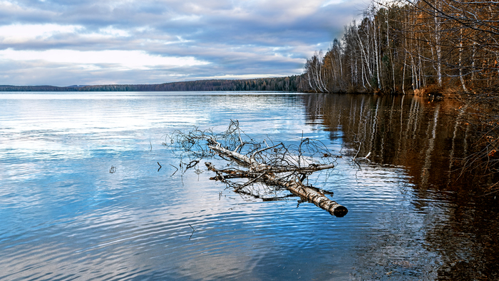 Почти вечерняя фоточка