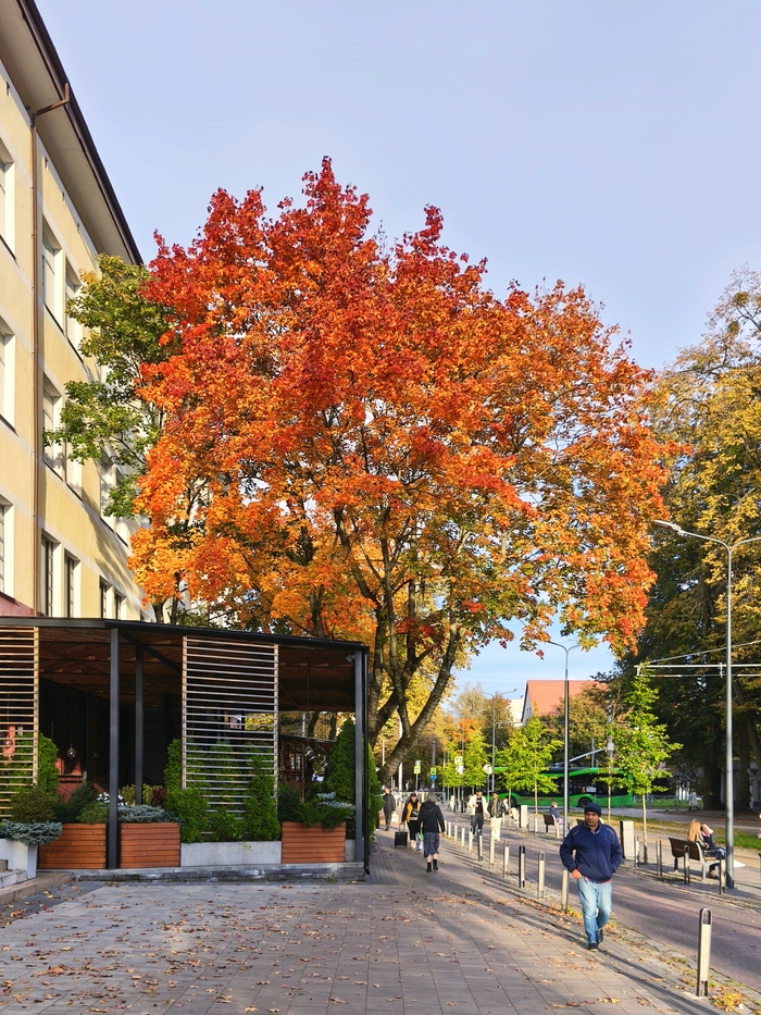 Улица Карла Маркса