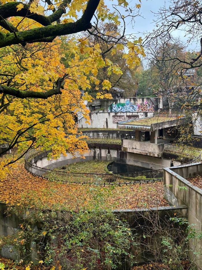 напомнило форт боярд в детстве смотрела :)
