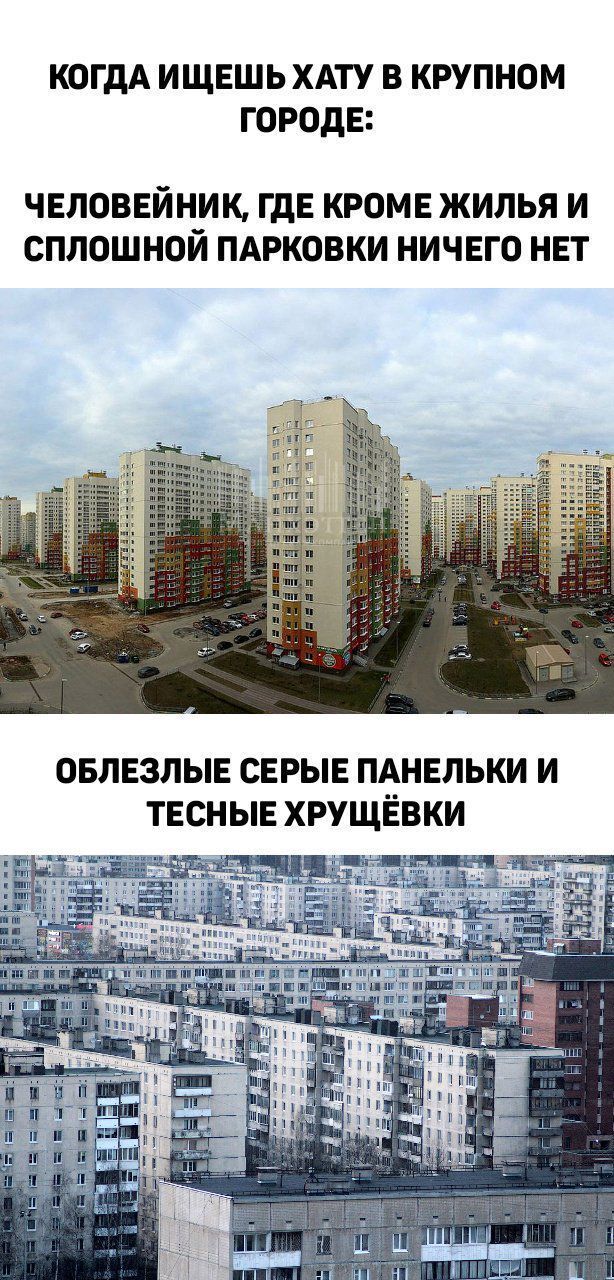 Вся наша жизнь аксиома Эскобара