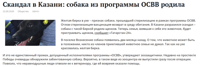    :    , !    ? -    ,     ,          !