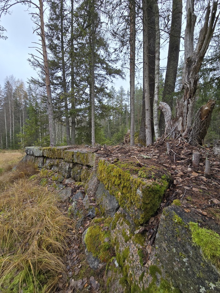 Островок посреди пруда.