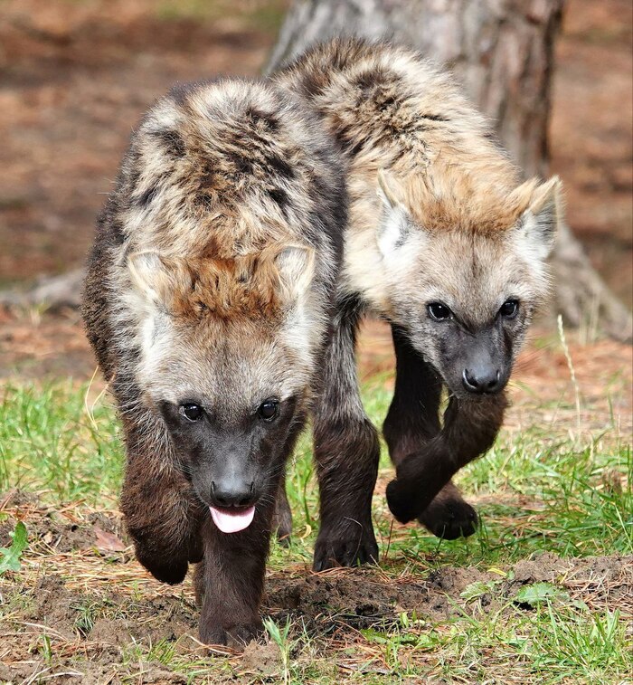 Гоп-стоп, мы подошли из-за угла