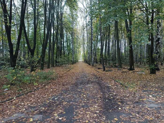 Подлипки и их дачи: кто жил в деревянных особняках