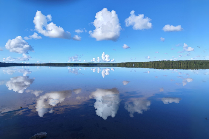 ����� �� ���� ������� ���� ���������� �����������, ������� � ���� ����� � ������