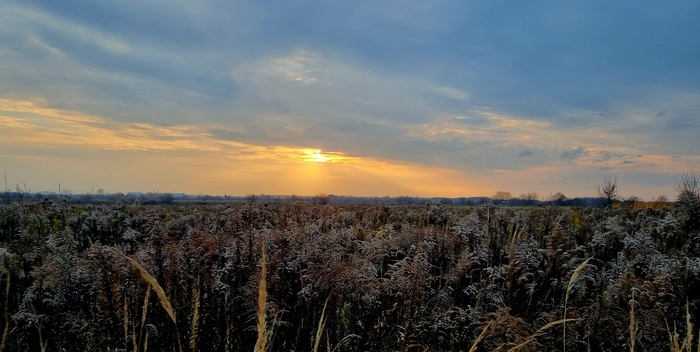 Луга. Осень