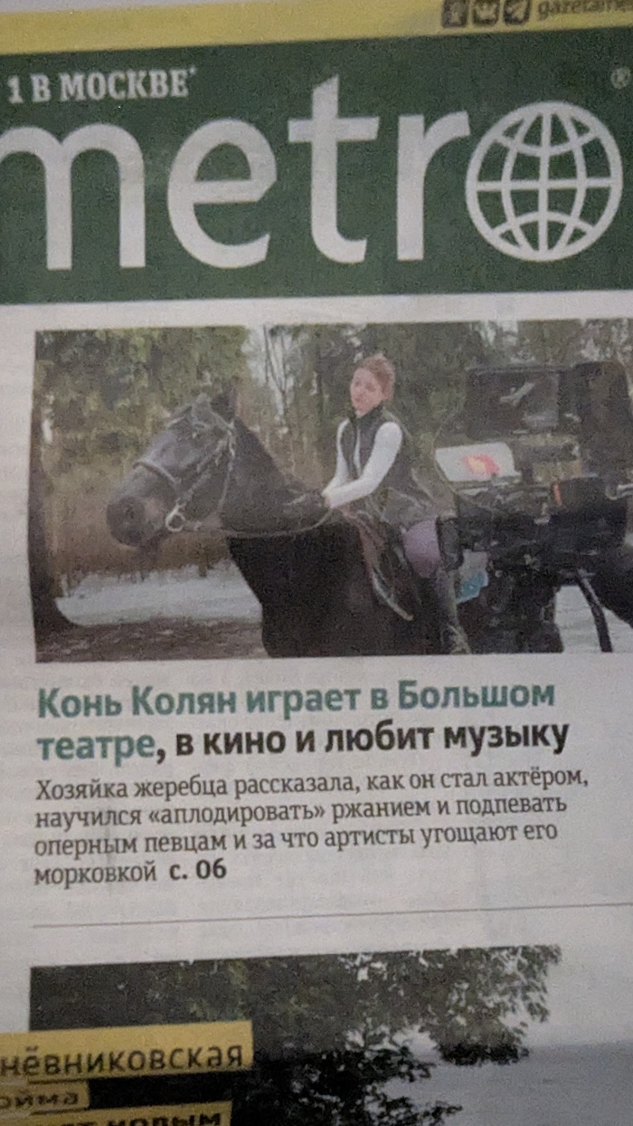 Мечтала стать журналистом