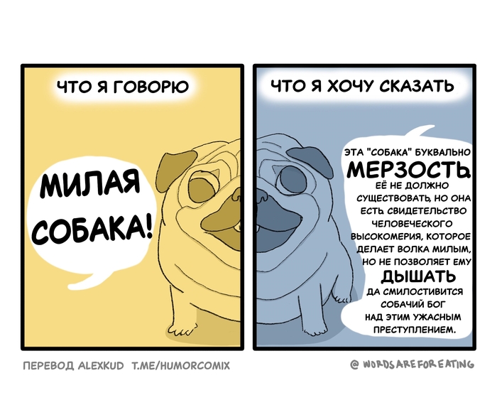 Милая собака