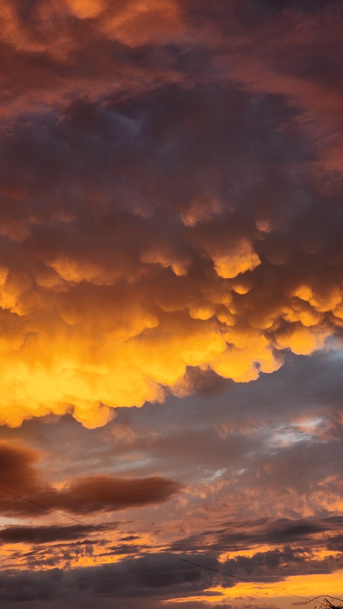 Ответ на пост «Просто хочу поделиться фотографией, которую у себя нашел а архиве»