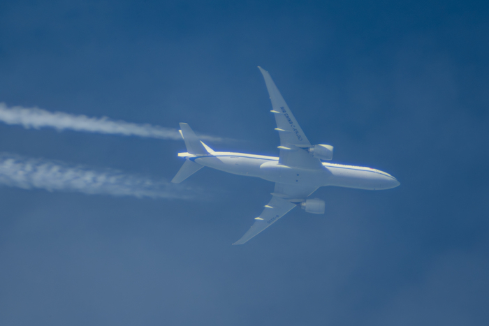 Автор фото: Ильсур Абдуллин