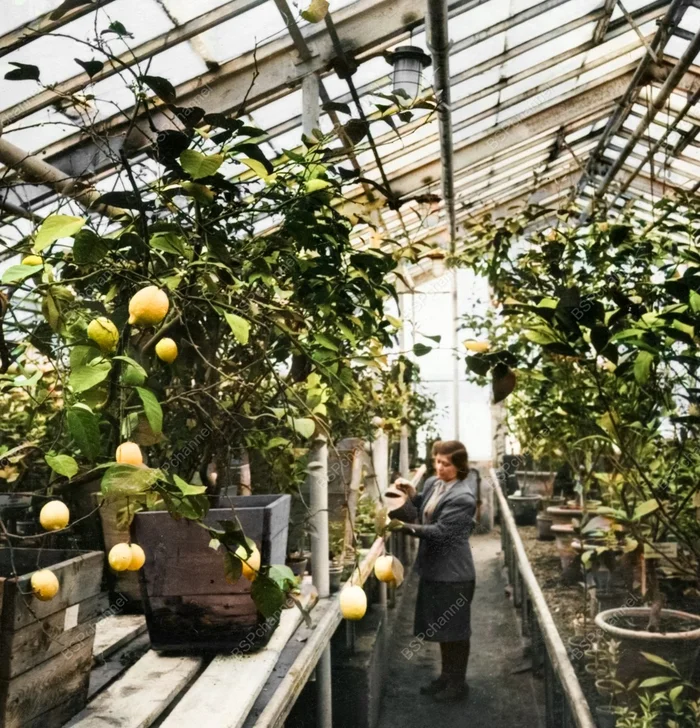 Фотограф: А. Агапов. Фотограф: А. Агапов.