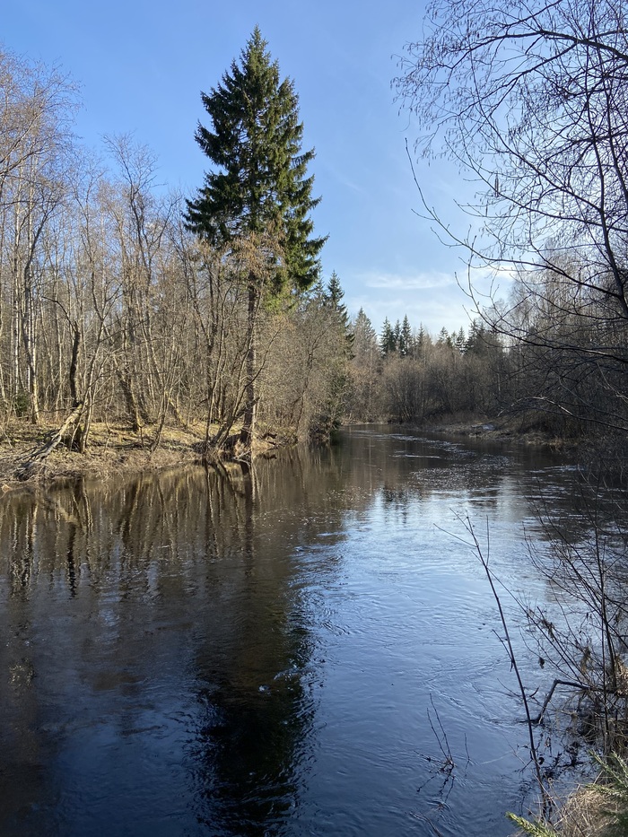 Ответ на пост «Просто хочу поделиться фотографией, которую у себя нашел а архиве»