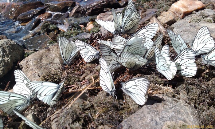 Ответ на пост «Просто хочу поделиться фотографией, которую у себя нашел а архиве»