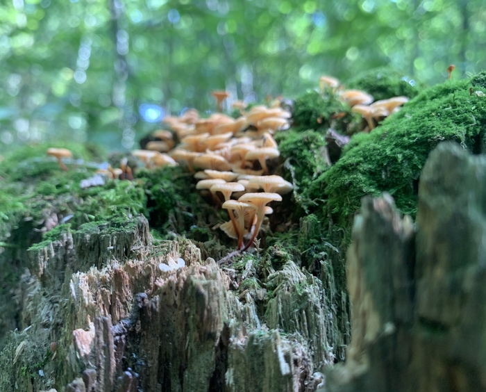 Ответ на пост «Просто хочу поделиться фотографией, которую у себя нашел а архиве»