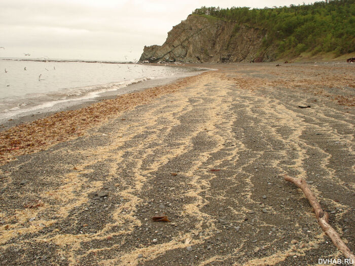 Ответ на пост «Просто хочу поделиться фотографией, которую у себя нашел а архиве»