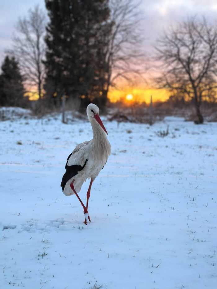Ответ на пост «Просто хочу поделиться фотографией, которую у себя нашел а архиве»