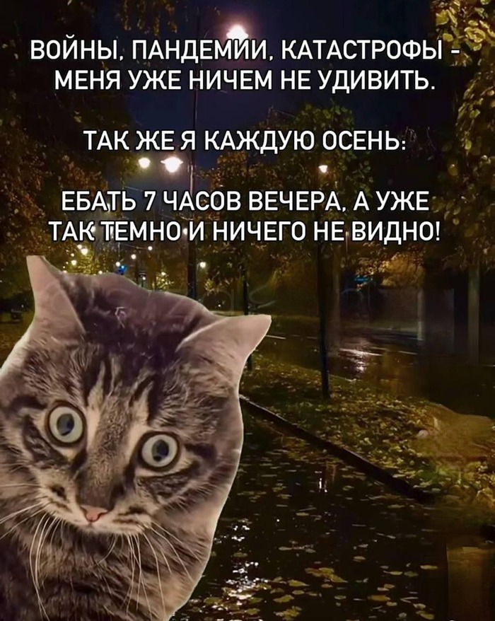 Каждую осень