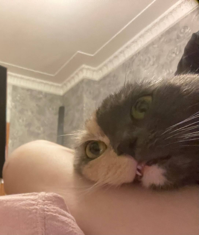 Мое состояние в понедельник утром