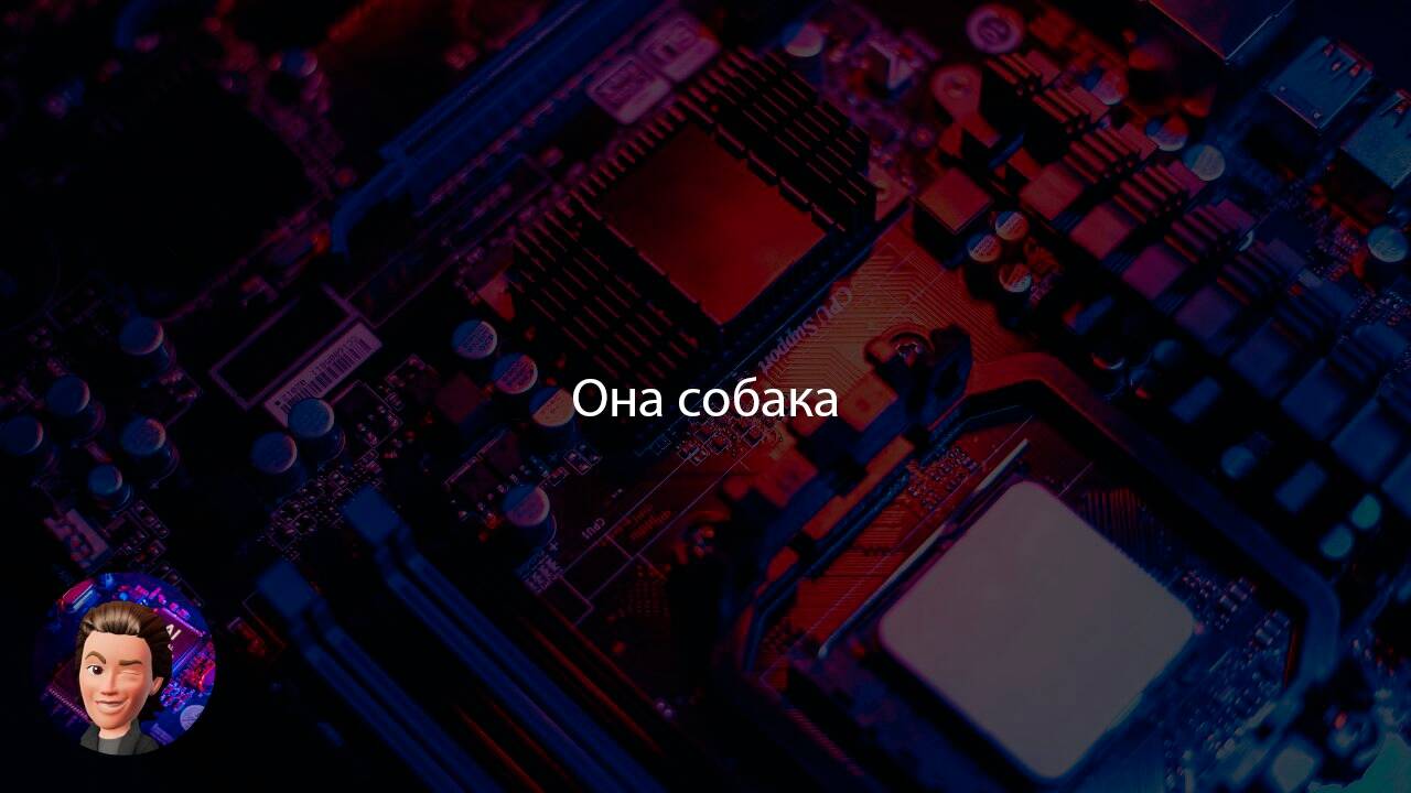 ������������