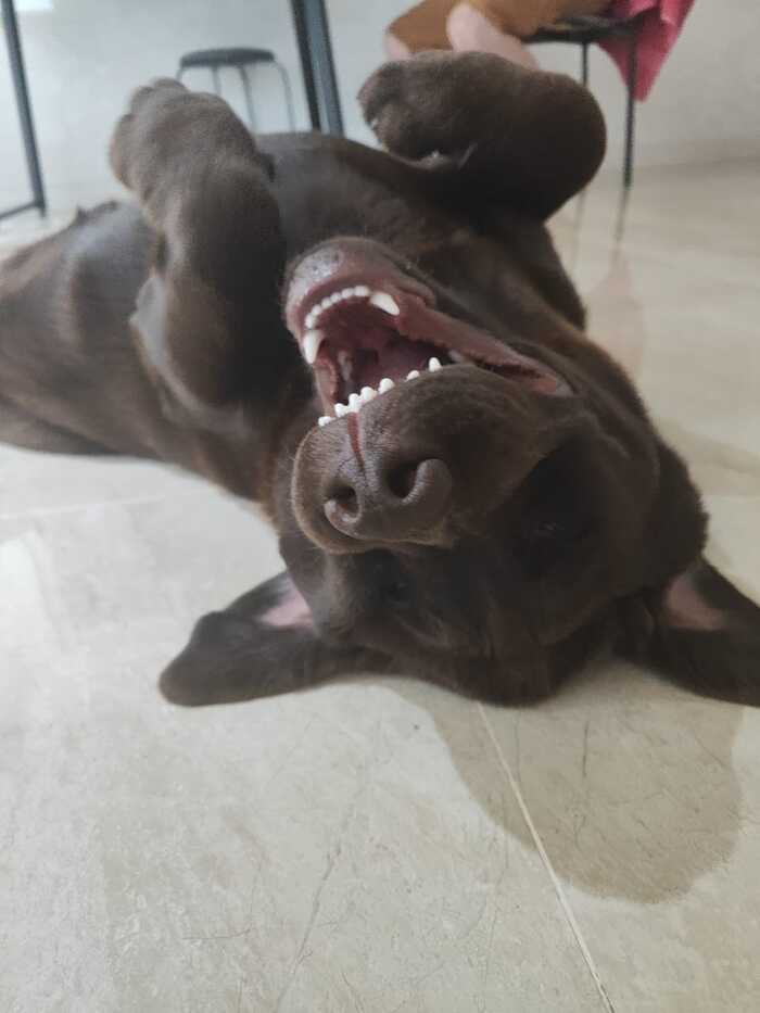 Милюша-бусинка