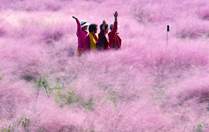          // : Yang Bo/China News Service/VCG via Getty Images