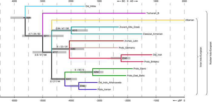   .       95%   ,        .    .  .