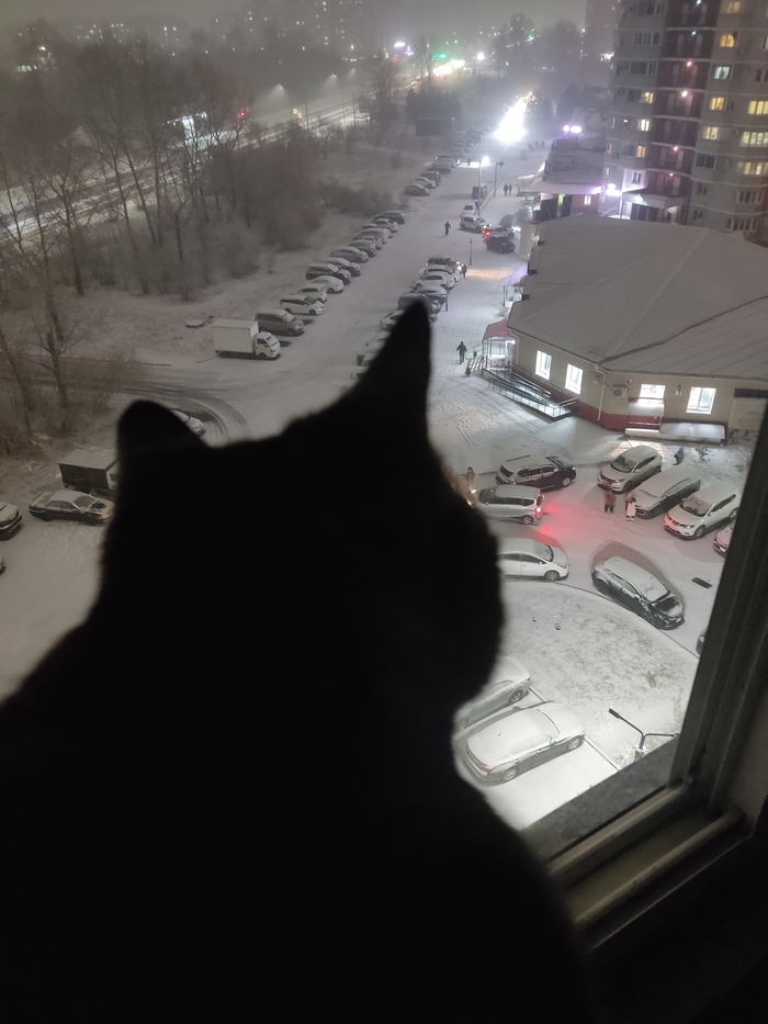 Этот город нуждается во мне © Котмэн