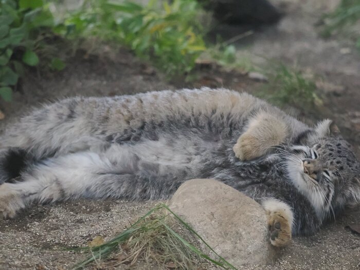 Три дня... ещё ТРИ ...