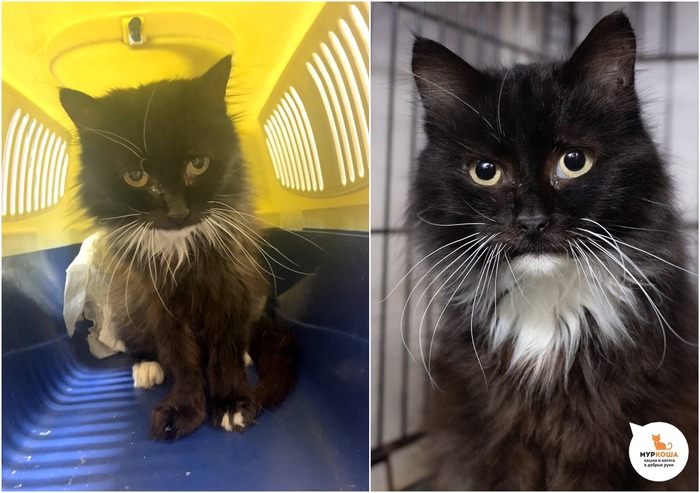  , 10 ,   .  .        - .  ,              .    .