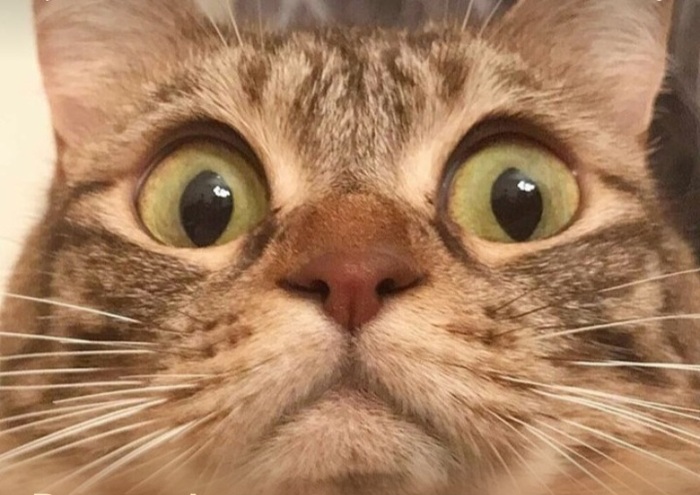 Заголовок поста...