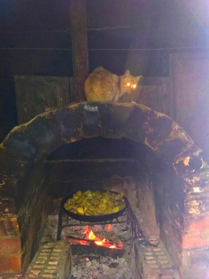 ����� �� ���� ���� ����� ������ ��� � � �������