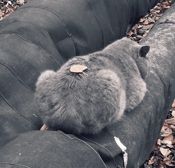 Новый год скоро...