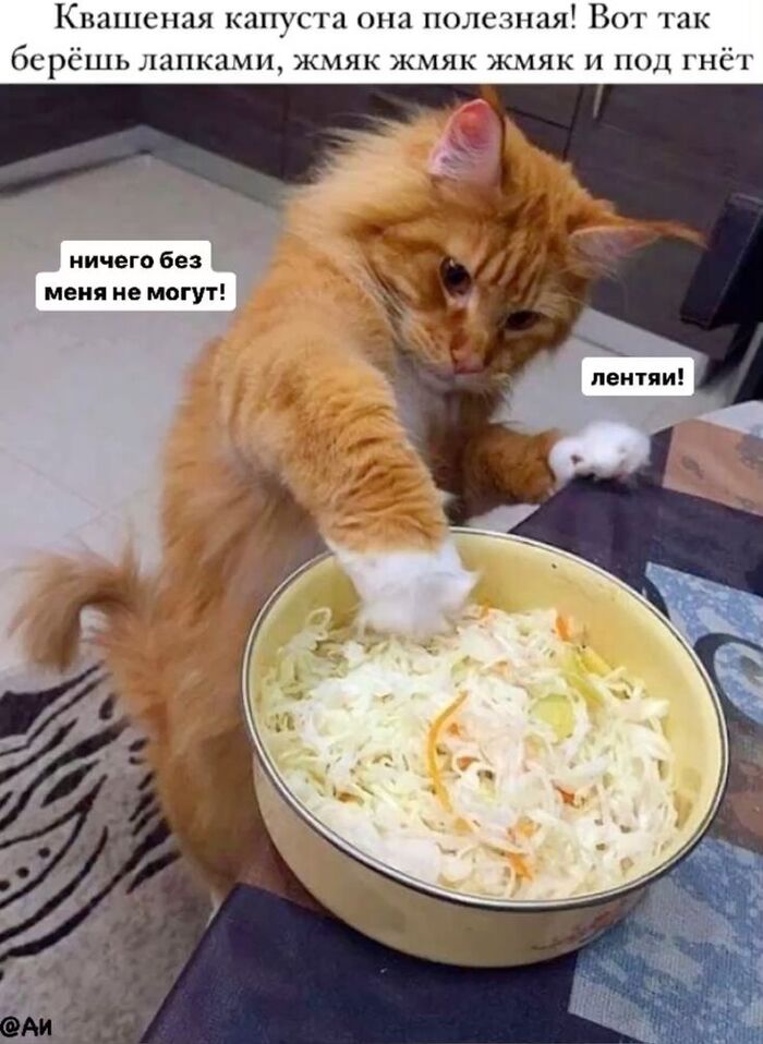 Как понять что квашеная капуста готова?