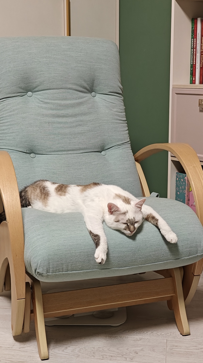 ����� �� ���� ���� ����� ������ ��� � � �������