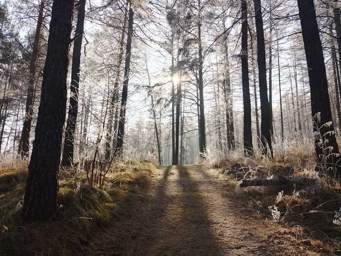 ���������� ���